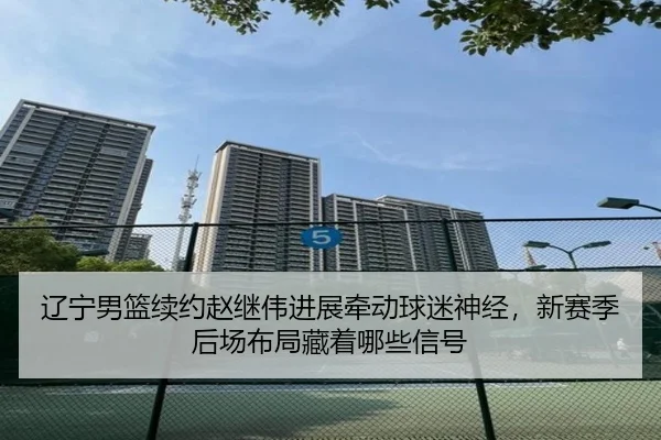 辽宁男篮续约赵继伟进展牵动球迷神经，新赛季后场布局藏着哪些信号